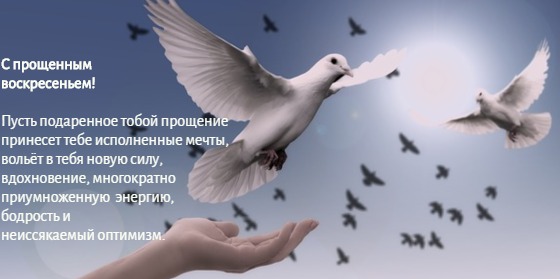 белые голуби в небе. иллюстрация