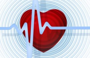 сердце и кардиограмма