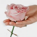 Розовая роза в руке. фото