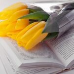 Желтые тюльпаны поверх раскрытой книги. фото