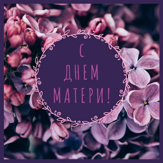 Сиреневые цветы в фиолетовой рамке. иллюстрация