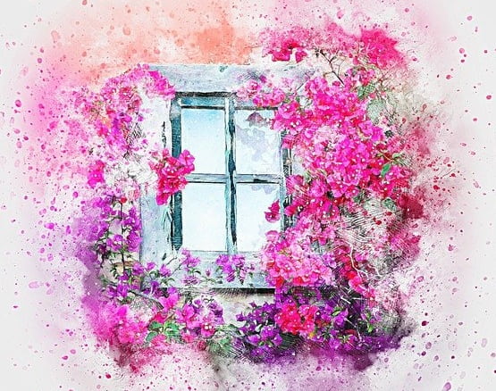 Цветущие растения вокруг окна. иллюстрация