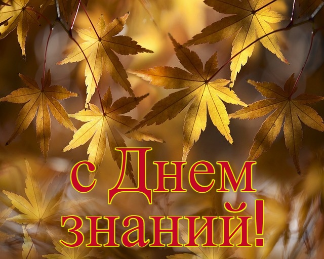 Пожелтевшие кленовые листья с надписью. иллюстрация
