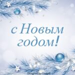 Хвойные ветви с белым напылением. иллюстрация